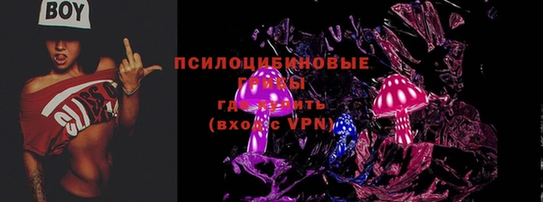бошки Абаза