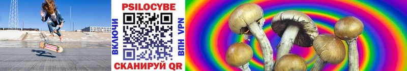 наркотики  Щёкино  блэк спрут рабочий сайт  Галлюциногенные грибы MAGIC MUSHROOMS 